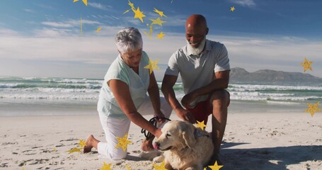 Kneeling couple holding leash and petting golden retriever dog on sandy beach, with star overlay