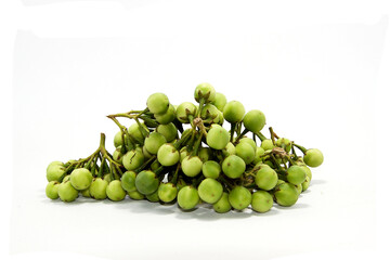 Turkey berry, eggplant, Solanum torvum isolated on white background are ingredients of Thai food.