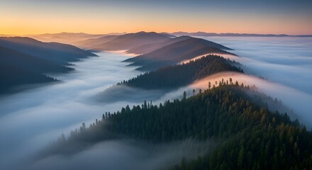 Fototapeta premium Serene mountain valley bathed in soft sunrise light above a sea of ethereal fog