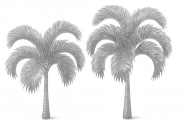 Two silver palm trees are standing out against a transparent background, creating a luxurious and exotic atmosphere