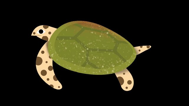 Animated sea turtle swimming. Cute cartoon tortoise animation on transparent background. Ideal for children's videos, educational content, and ocean-themed projects