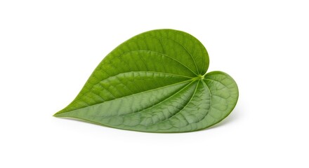 Obraz premium A vibrant green leaf with distinct venation, isolated on a clean white background, highlighting its natural beauty and texture. Perfect for botanical themes or fresh concepts.