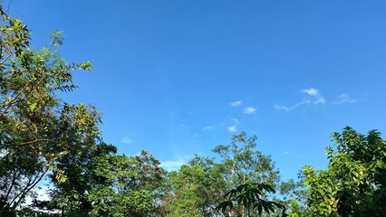 Obraz premium Wide angle shot of sky with fluffy clouds and tree silhouettes, tranquil summer scene ideal for background, nature-based concepts, sustainability, wellness, and inspiration