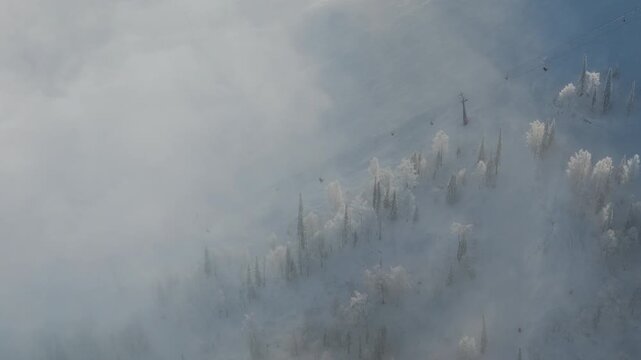 Morning cloud inversion drifts through frosted conifer on the slope of Sheregesh as a gondola cable spans the ravine. Soft light and clean snow create cinematic landscape for tourism and resort use