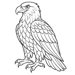 A eagle illustration vector style coloring page