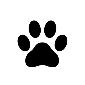 Simple outline paw print illustration in white against a transparent background with colors