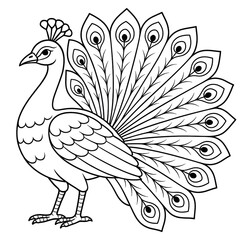 A peacock illustration vector style coloring page