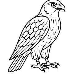 A hawk illustration vector style coloring page