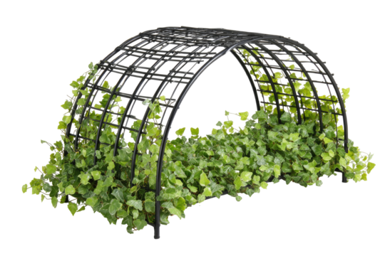 Dark metal archway structure, densely covered with light green foliage