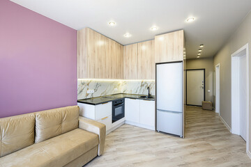 modern studio apartment with a compact kitchen featuring light wood cabinets, white countertops, and a tan sofa against a lilac wall. The hallway leads to the entrance
