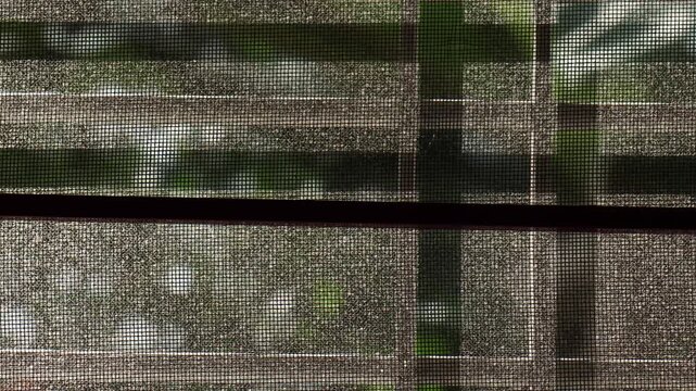 Across the net, the shadows of window grills slid slowly, stirred by the changing light