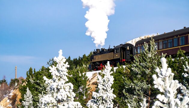Scenic train journey through snowy mountain forest
