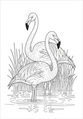 Printable vector flamingo couple, a line art coloring page for children's fun and creative learning activity