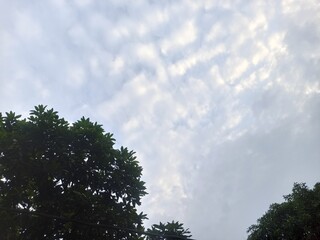 Obraz premium sky and clouds