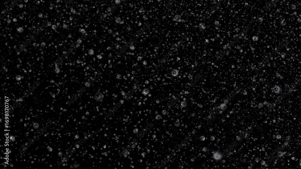 Canvas Prints loop grey circle particles cloud animation motion on black abstract background. gold blue stars part