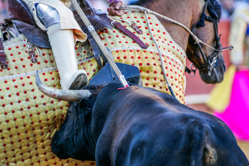 Bull confronts horse in suerte de varas at Real Maestranza Bullring