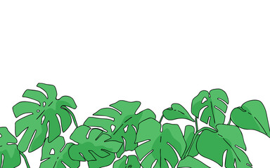 シンプルな観葉植物のイラスト・手描き背景イラスト・ボタニカル・モンステラ