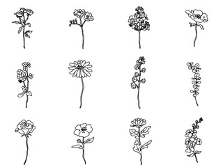 シンプルな白黒の花や植物の線画アイコンセット・ナチュラル・お洒落・一輪