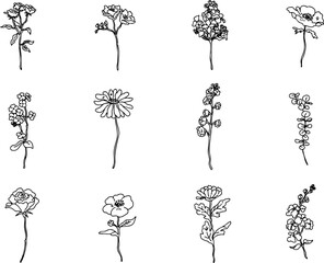 シンプルな白黒の花や植物の線画アイコンセット・ナチュラル・お洒落・一輪