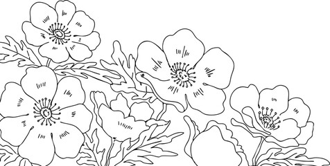 アネモネの白黒でシンプルな線画背景イラスト・塗り絵