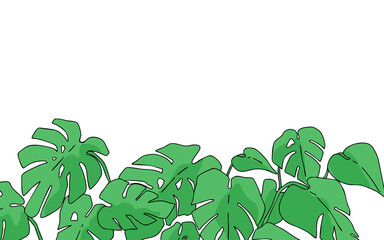 シンプルな観葉植物のイラスト・手描き背景イラスト・ボタニカル・モンステラ