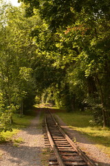 An old railway among green trees