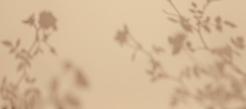 Soft floral shadows on beige background. Vintage 90s style, pastel tones, natural elegance. Wallpapers, creative backgrounds, social media covers, web design.