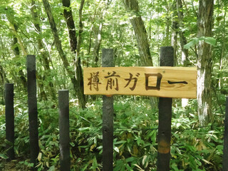 樽前ガローの看板