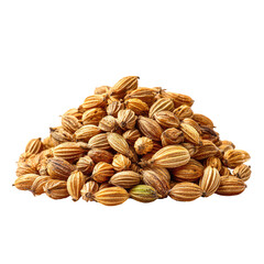Obraz premium Pile of small, light-tan, oblong seeds