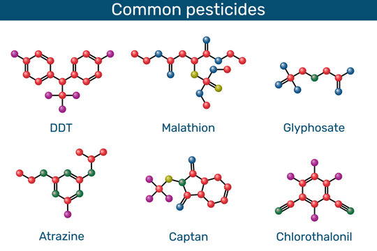 Common pesticides molecule. Ball-and-stick models.. DDT, malathion, glyphosate, atrazine, captan, chlorothalonil