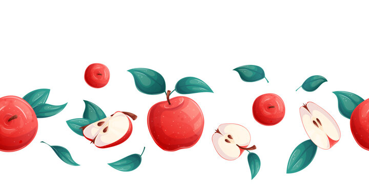 Seamless border with apples on a white background. Whole apple, half apple, sliced apple. Vector illustration for the design of postcards, advertisements, banners, posters.