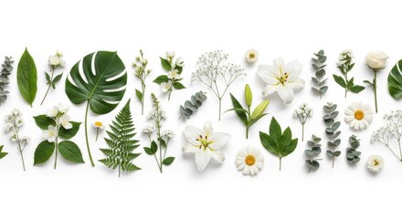 Beautiful Arrangement of Fresh White and Green Flowers and Leaves