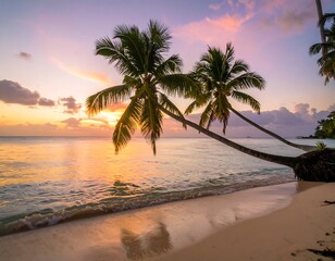 Tropical sunset beach scene (6)