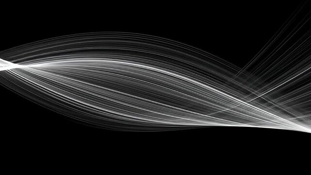 Abstract monochrome image featuring flowing, diverging, intersecting white lines