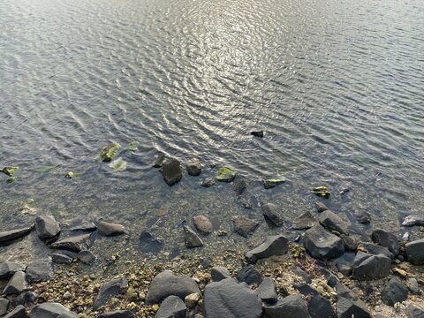 ripples on the water