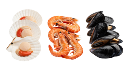 Scallops, shrimp, and mussels isolated on transparent background