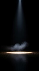 Spotlight on Empty Stage.