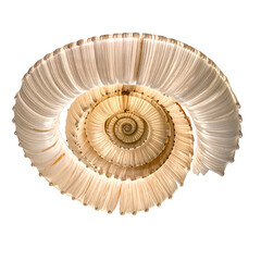Obraz premium Untitled design - PNG Top view underwater photo of shell seashell invertebrate chandelier