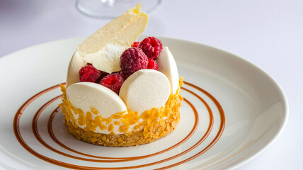 Elegant dessert featuring creamy layers, raspberries, caramelized accents, and white chocolate, served beautifully on a dish.