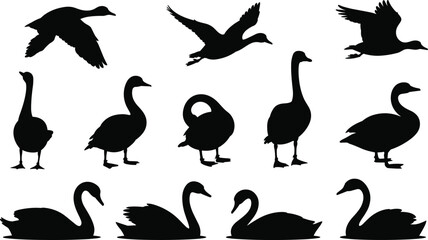 Set of duck and swan silhouettes, black and white illustrations of birds, flying and standing, isolated on white background.