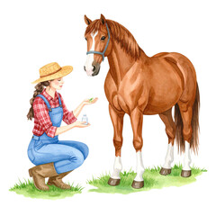 Watercolor Horse with Brown Coat White Markings and Blue Bridle.