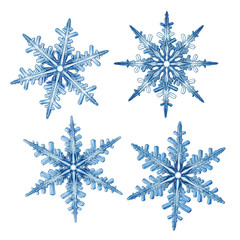 Four detailed snowflakes on transparent background, winter decoration