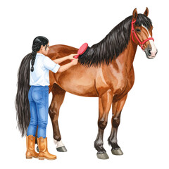 Watercolor Illustration of a Brown Horse Being Groomed by a Person.