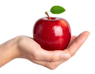 Fresh Red Apple Held in Open Palm Isolated on Transparent Background.