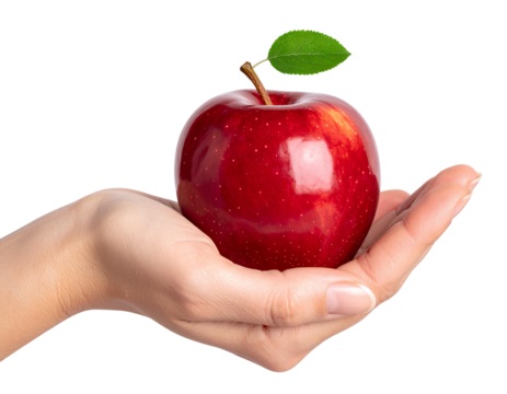 Fresh Red Apple Held in Open Palm Isolated on Transparent Background. - Powered by Adobe