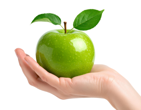 Hand Holding Green Apple with Leaves, Isolated PNG. - Powered by Adobe