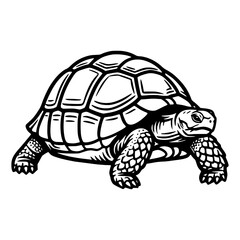 Vector line art illustration Of A Tortoise.