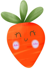 Carrot on a white background