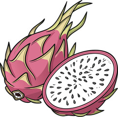 Isolated dragon fruit vector illustration with a pink flower and green leaves on a white background