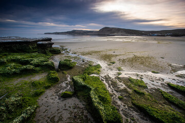 Fototapeta premium Peninsula Valdes coast landscape, World Heritage Site, Patagonia Argentina